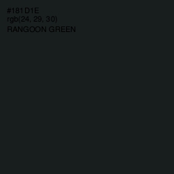 #181D1E - Rangoon Green Color Image